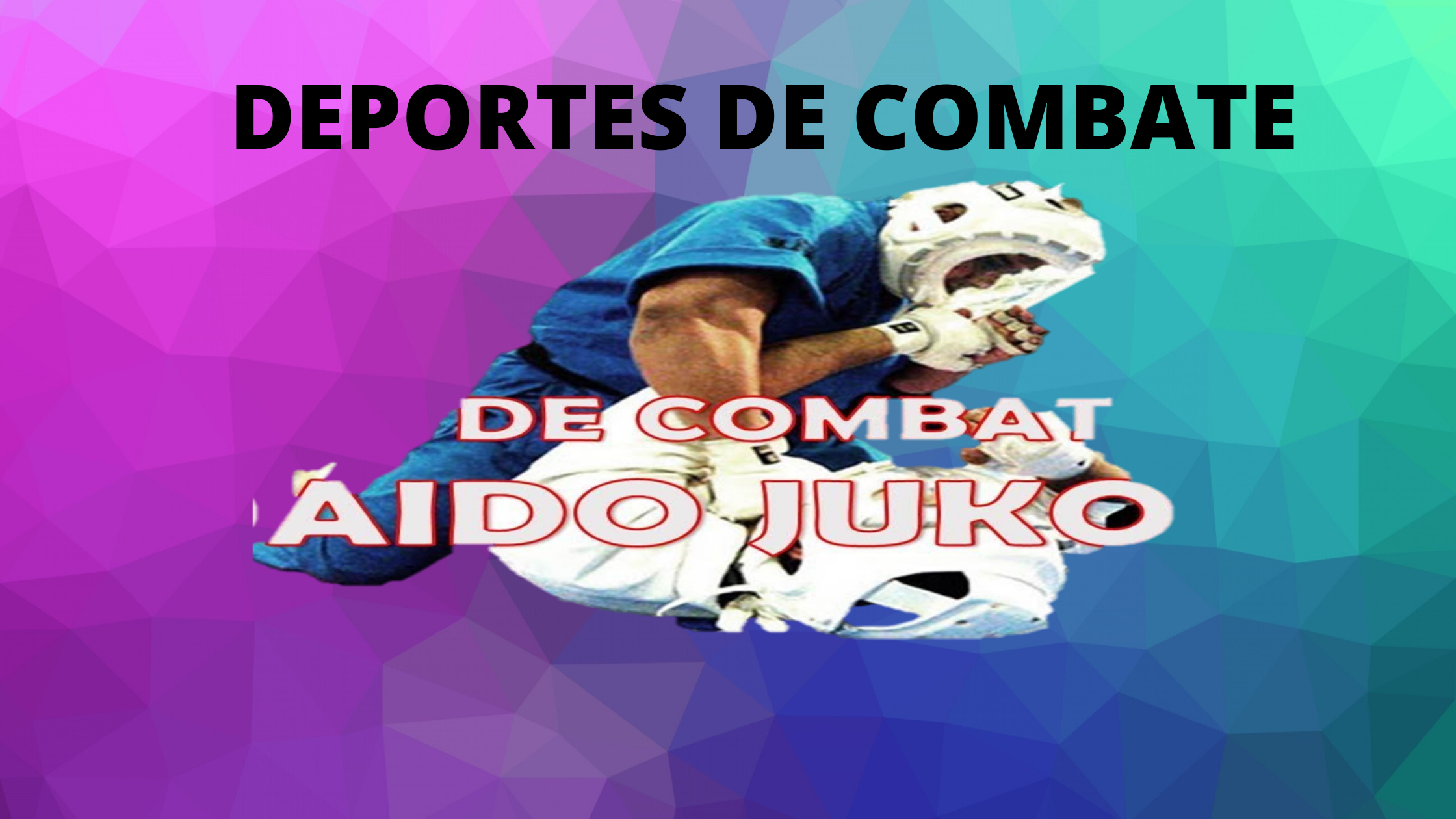 140G9I-1 DEPORTES DE COMBATE