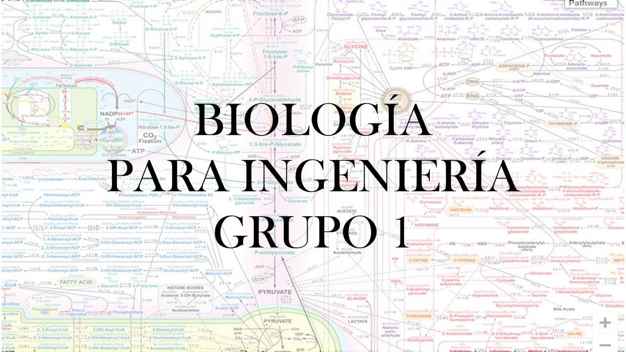 Biología para ingeniería