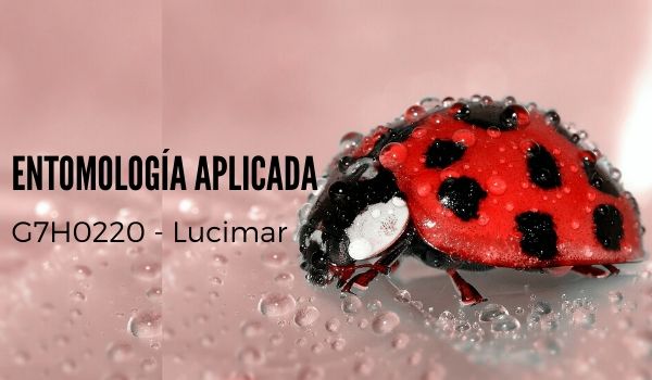 G7H0220-1 Entomología Aplicada