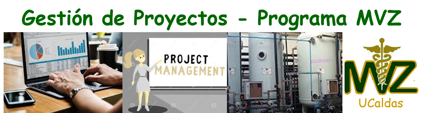 Gestión Proyectos