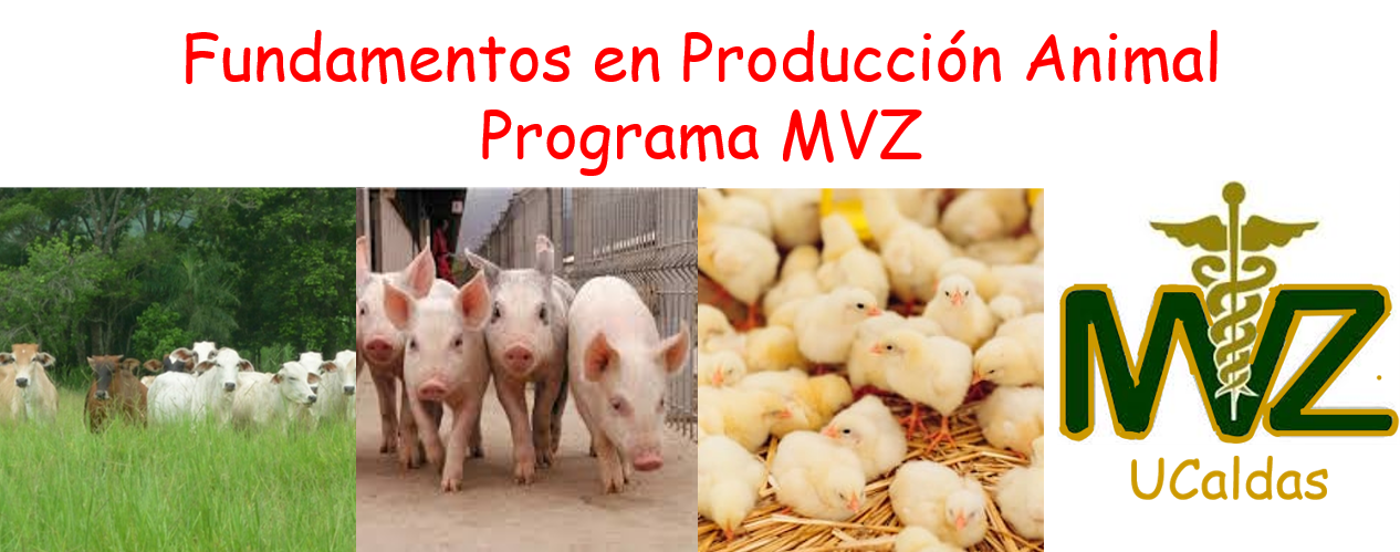 Fundamentos en Producción Animal Grupo 2