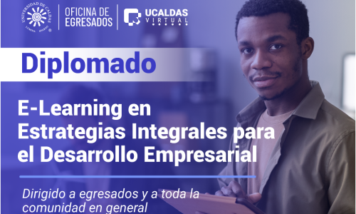 Diplomado en E-Learning en Estrategias Integrales para el Desarrollo Empresarial